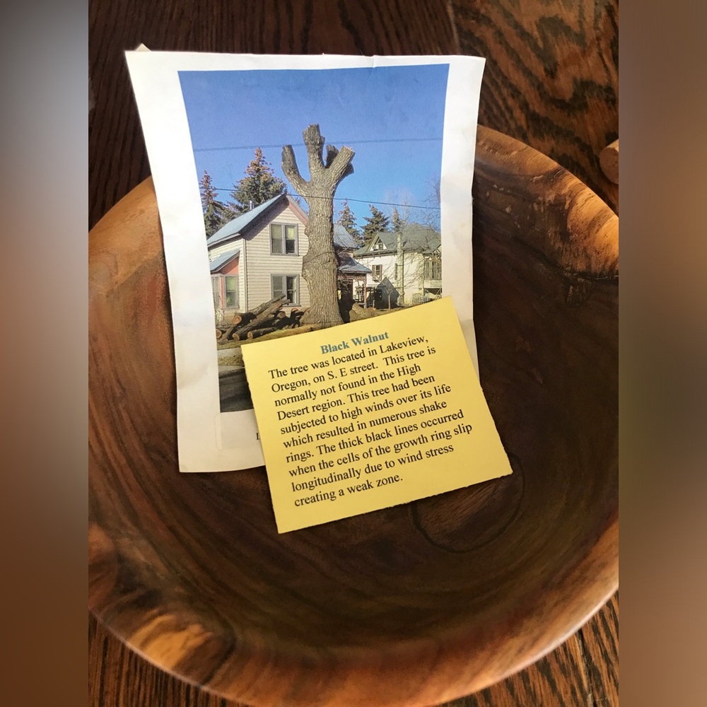 Black Walnut Bowl
